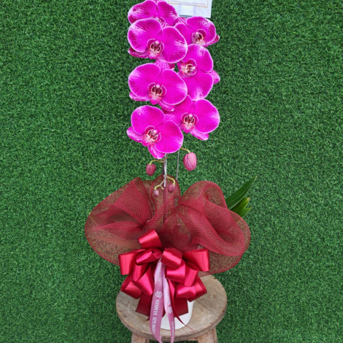 Tanpa judul (7 x 5 cm) - 20