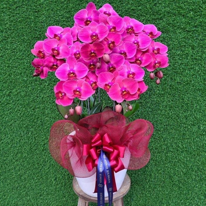 de4d58a2-cfcc-4d0e-a5c6-eb76535adea9